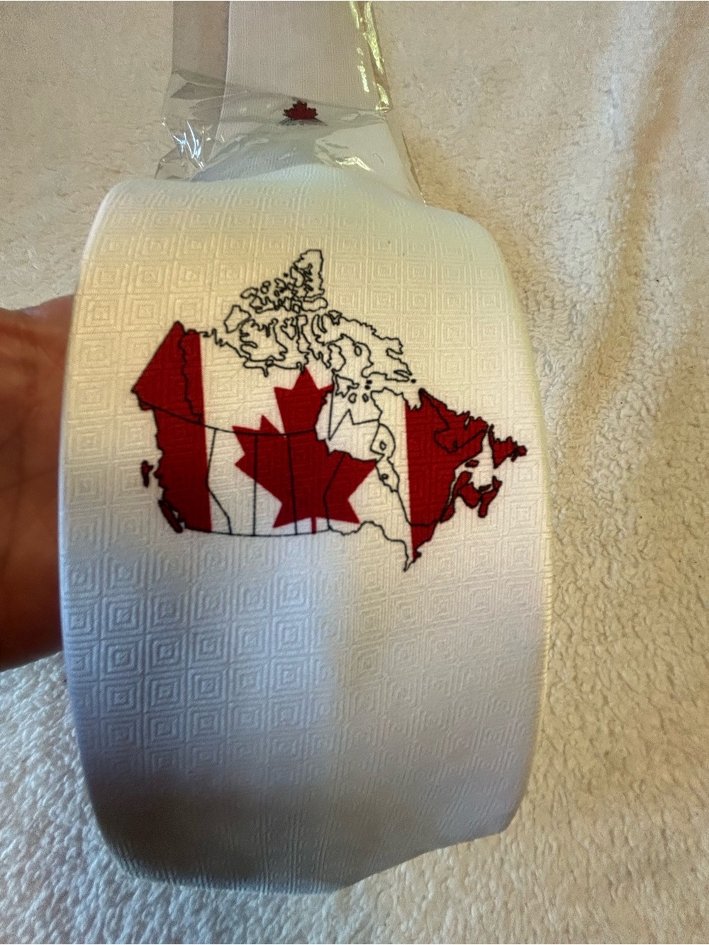 🎁3 for $30 - Canada Flag Map Tie